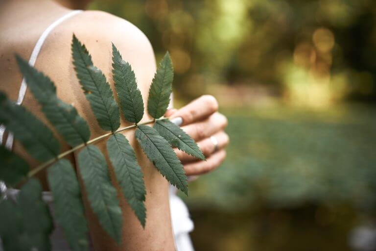 Cropped image of unknown mysterious young woman posing in park, holding green leaf while relaxing outdoors on sunny day. Close up of fern plant in female hand. Botany, nature and flora concept